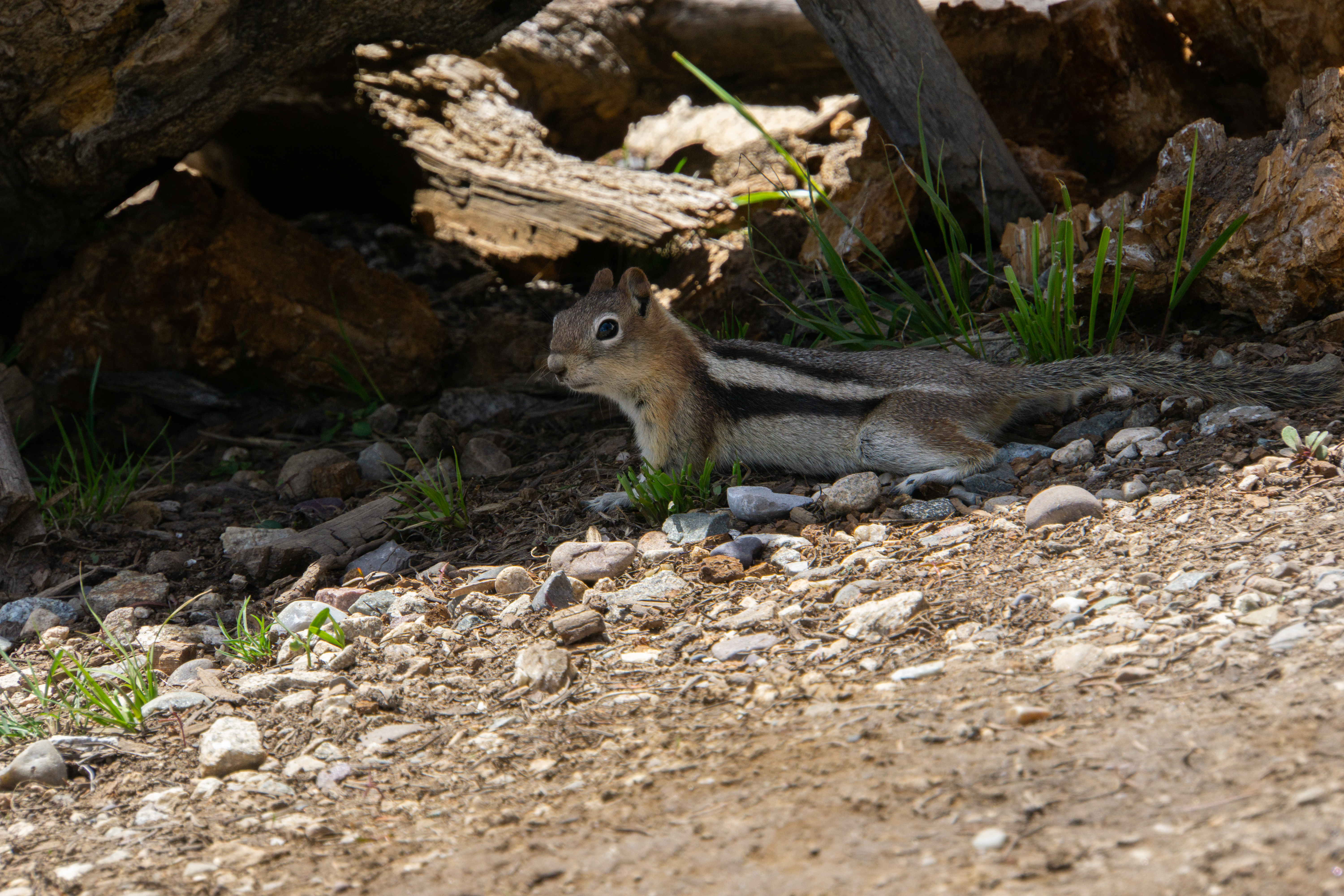 US National Parks 2022 32